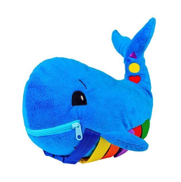 Sensory Development Toys